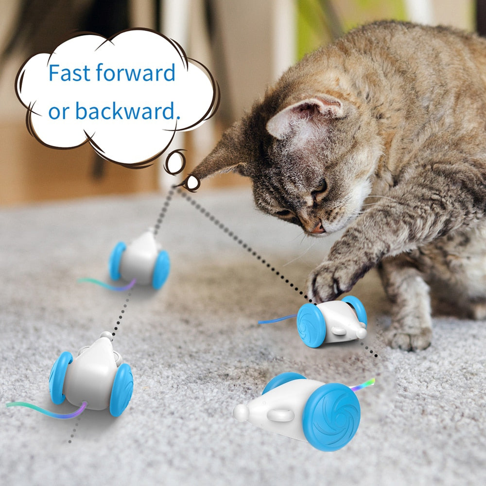 Smart Electric Interactive Cat Toys for Indoor Cats, Automatic Cat Toy with LED Lights, USB Rechargeable, Auto On/Off